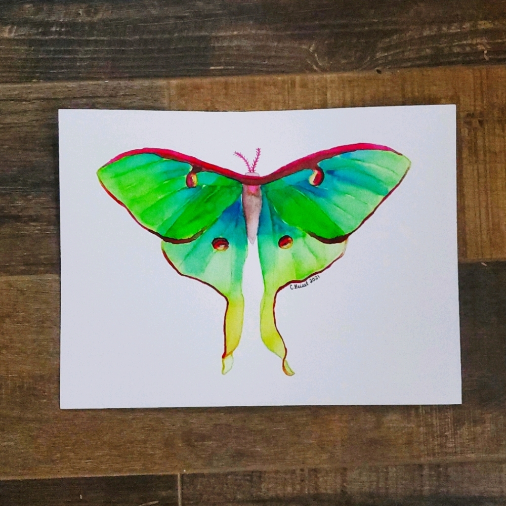 Watercolor painting